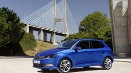 Skoda Fabia III hatchback (2015) - lewy bok