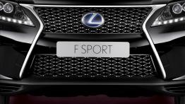 Lexus RX 450h F Sport - grill