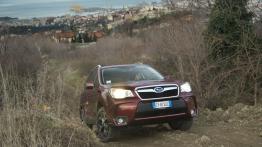 Subaru Forester IV - wersja europejska - widok z przodu