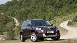 Skoda Yeti w Odessie - galeria redakcyjna - widok z przodu
