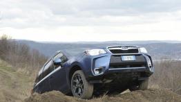Subaru Forester IV - wersja europejska - widok z przodu