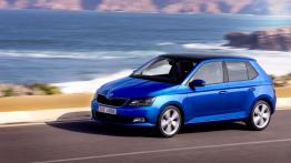 Skoda Fabia III hatchback (2015) - lewy bok