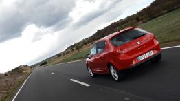 Seat Ibiza 2008 - widok z tyłu