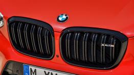 BMW X4M - widok z przodu