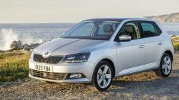 TOP 5: Co oferują najtańsze wersje modeli z segmentu B?