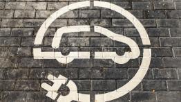 Odroczenie rewolucji elektrycznej. ACEA wzywają do przeglądu celów emisji CO2