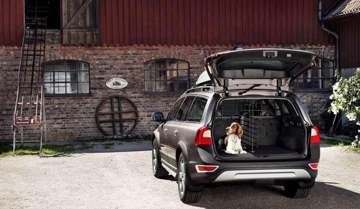 Jak bezpiecznie podróżować samochodem z psem