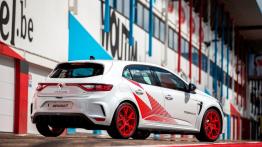 Renault Megane RS Trophy-R - prawy bok