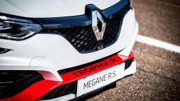 Renault Megane RS Trophy-R - logo