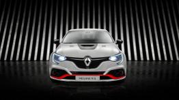 Renault Megane RS Trophy-R - widok z przodu
