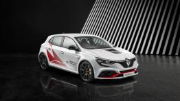 Renault Megane RS Trophy-R - widok z przodu