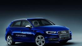 Audi A3 III Sportback TCNG - widok z przodu