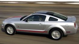 Ford Mustang V - lewy bok