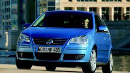 Volkswagen Polo V - widok z przodu