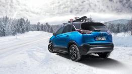 Eleganckie, wszechstronne, praktyczne: oryginalne akcesoria Opla do Crosslanda X