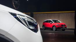 Polskie ceny Opla Crossland X