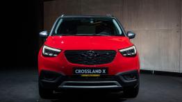 Polskie ceny Opla Crossland X