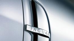 Jaguar XF - wlot powietrza