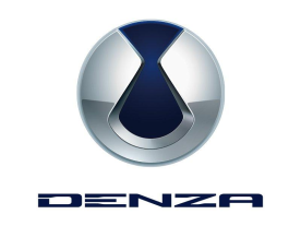 Denza Z9