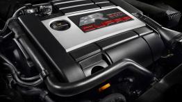 Seat Leon Cupra R 2010 - silnik