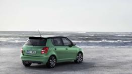 Skoda Fabia RS 2010 - widok z tyłu