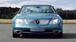 Mercedes F200 - widok z przodu