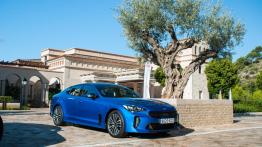 Kia Stinger Liftback 2.0 T-GDi 245KM 180kW 2018-2020