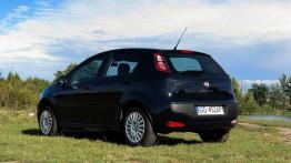 Fiat Punto Punto Evo Hatchback 5d  1.2 65KM 48kW 2010