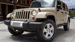 Jeep Wrangler III Terenowy 3.8 i V6 12V 200KM 147kW 2006-2010