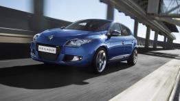 Renault Megane GT 2010 - widok z przodu