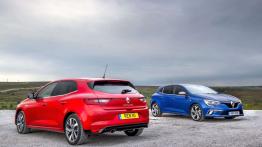 Renault Megane GT TCe 205 & Megane dCi 110 - tył - inne ujęcie