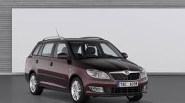 Skoda Fabia Kombi 2010 - widok z przodu