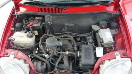 Samochód za jedną wypłatę - Fiat Seicento (1998-2010)