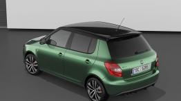 Skoda Fabia RS 2010 - widok z tyłu