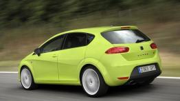 Seat Leon Cupra R 2010 - lewy bok