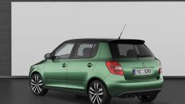 Skoda Fabia RS 2010 - widok z tyłu