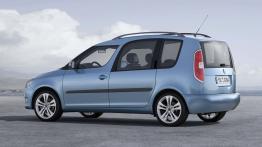 Skoda Roomster 2010 - lewy bok