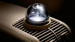 Maybach Zeppelin 2009 - inny element wnętrza z przodu