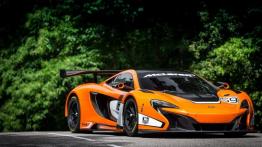 McLaren 650S GT3 (2014) - widok z przodu