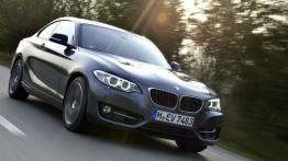 BMW 220i Coupe Sport Line (2014) - widok z przodu