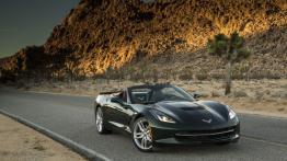 Chevrolet Corvette C7 Stingray Cabrio (2014) - widok z przodu