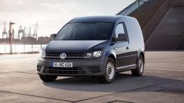 Volkswagen Caddy IV Kastenwagen (2015) - widok z przodu