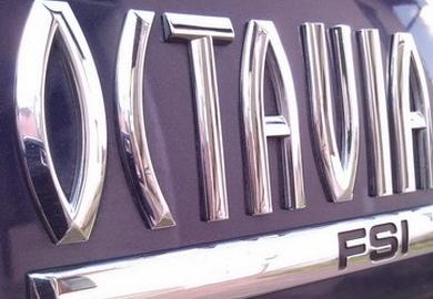 Little Monster - SPRZEDANE 09.2019