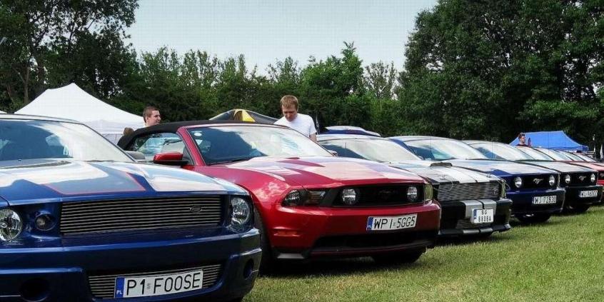 Motoryzacyjna inwentaryzacja 2011