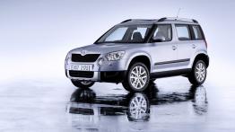 Skoda Yeti 2011 - widok z przodu