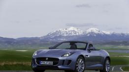 Jaguar F-Type V6 Satellite Grey - widok z przodu
