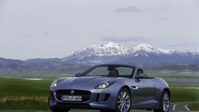 Jaguar F-Type V6 Satellite Grey (2013)