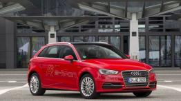 Audi A3 III Sportback e-tron (2013) - prawy bok