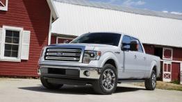 Ford F-150 - model 2013 - lewy bok
