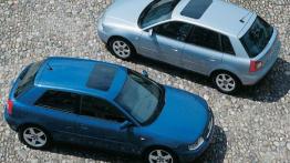 Czy warto kupić: używane Audi A3 (od 1996 do 2003)